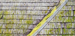HOUSE EXTERIOR SOFT WASH