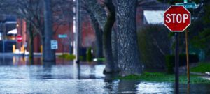 flood damage contractors