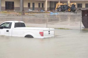 Hurricane Harvey Cleanup Services